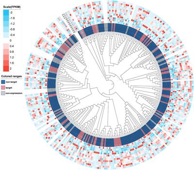 Genome-wide identification analysis in wild-type Solanum pinnatisectum reveals some genes defending against Phytophthora infestans